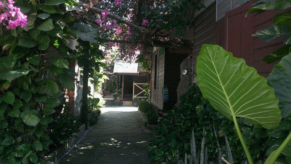 Ombak Inn Chalet Кампунг Телук Нипа Екстериор снимка